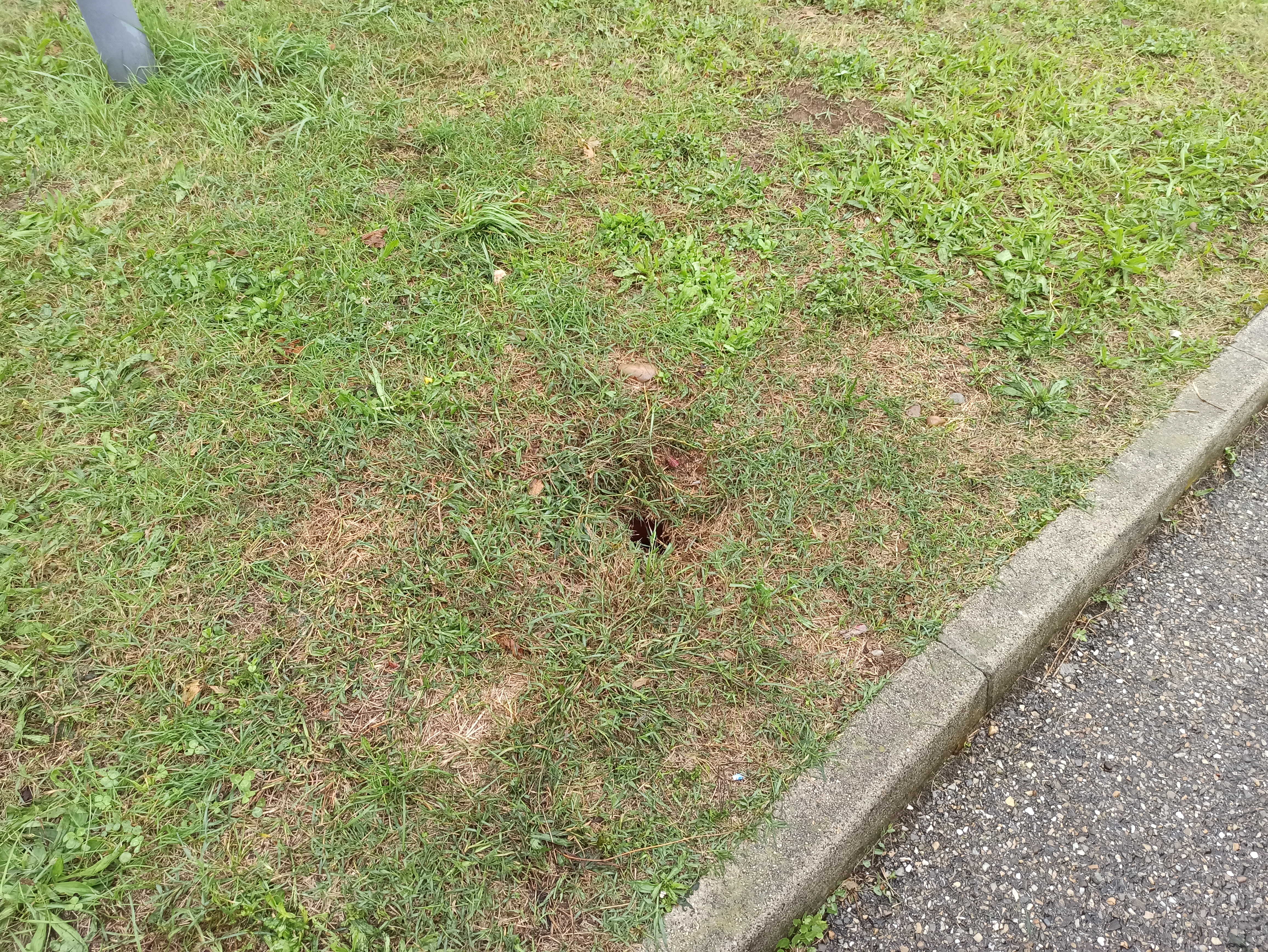 IMG_20211004_113910.jpg (10.89 MB)