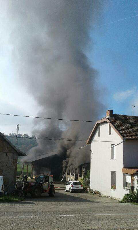 Resized_Resized_20210930_1056511001.jpg (40 KB)