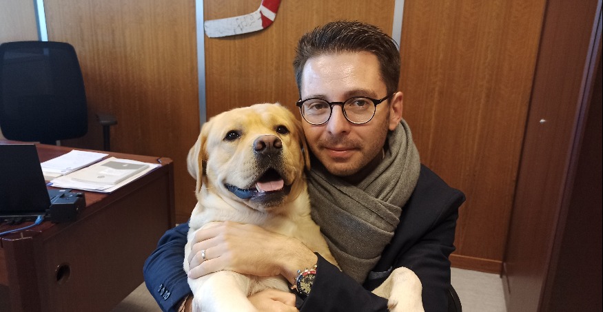 Grenoble: at the town hall, it is now possible to come to work with your dog